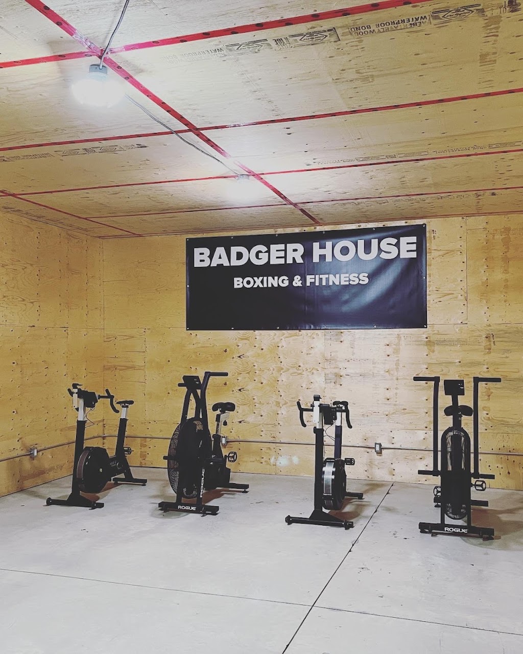 Badger House Boxing & Fitness | gym | 20 College Ave, Vittoria, ON N0E 1W0, Canada | 5194958182 OR +1 519-495-8182