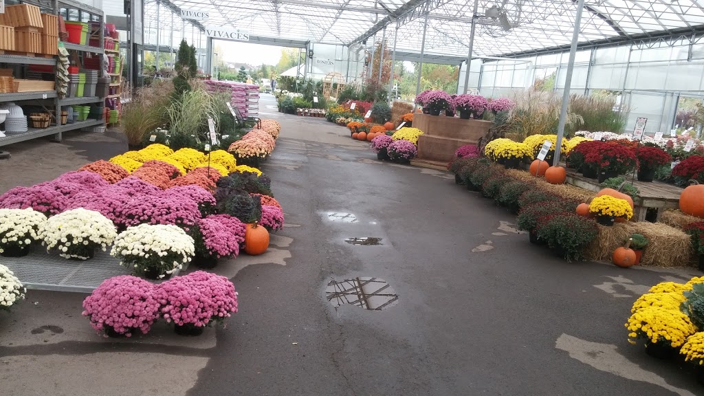 Centre De Jardin Brossard Inc | 6305 Grande Allée, Brossard, QC J4Z 3H6, Canada | Phone: (450) 443-2299