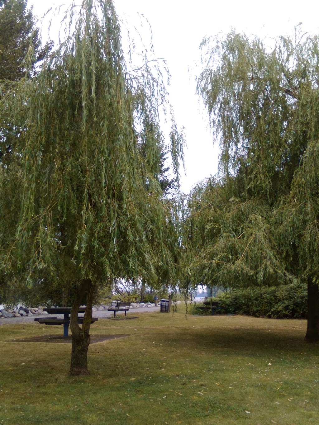 Fraserwood Park | 22020 Fraserwood Way, Richmond, BC V6W 1J6, Canada