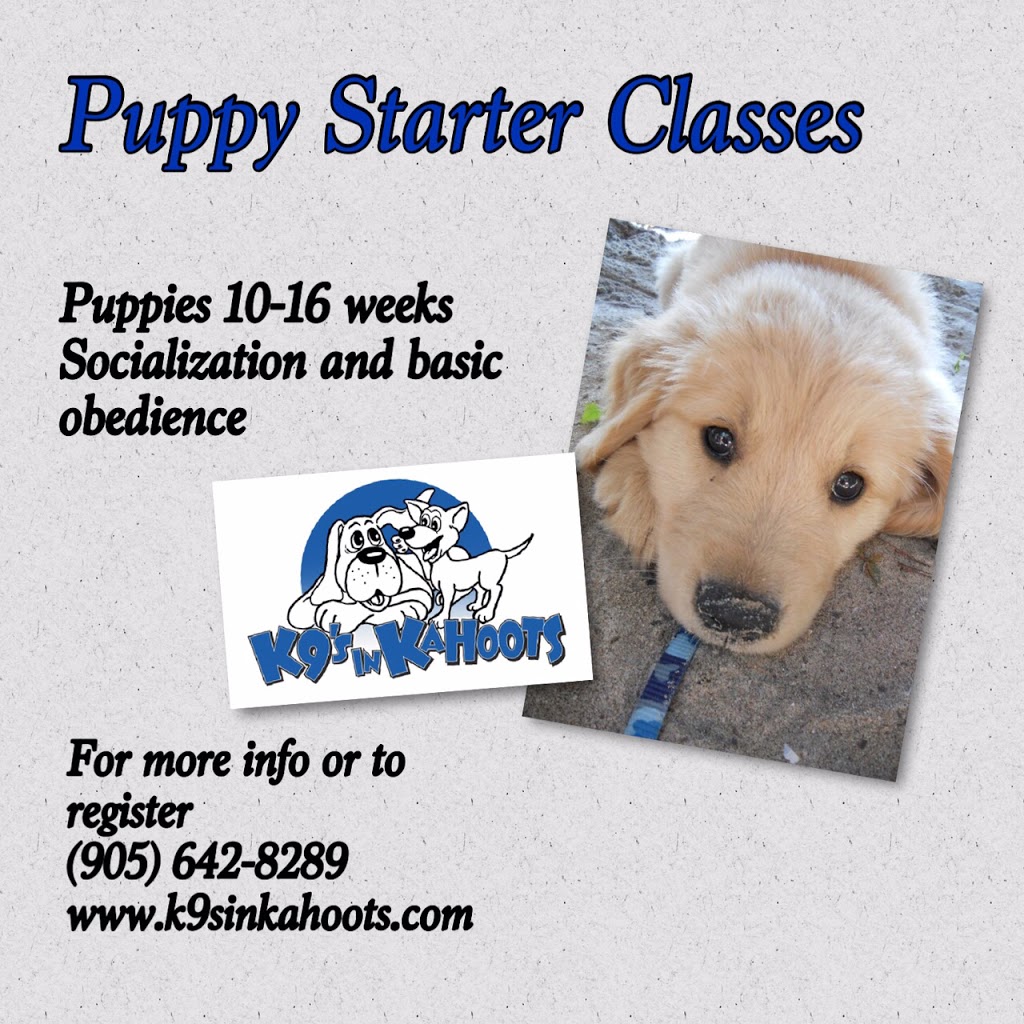 K9S in KAHOOTS | 6389 Main St, Whitchurch-Stouffville, ON L4A 1G4, Canada | Phone: (905) 642-8289