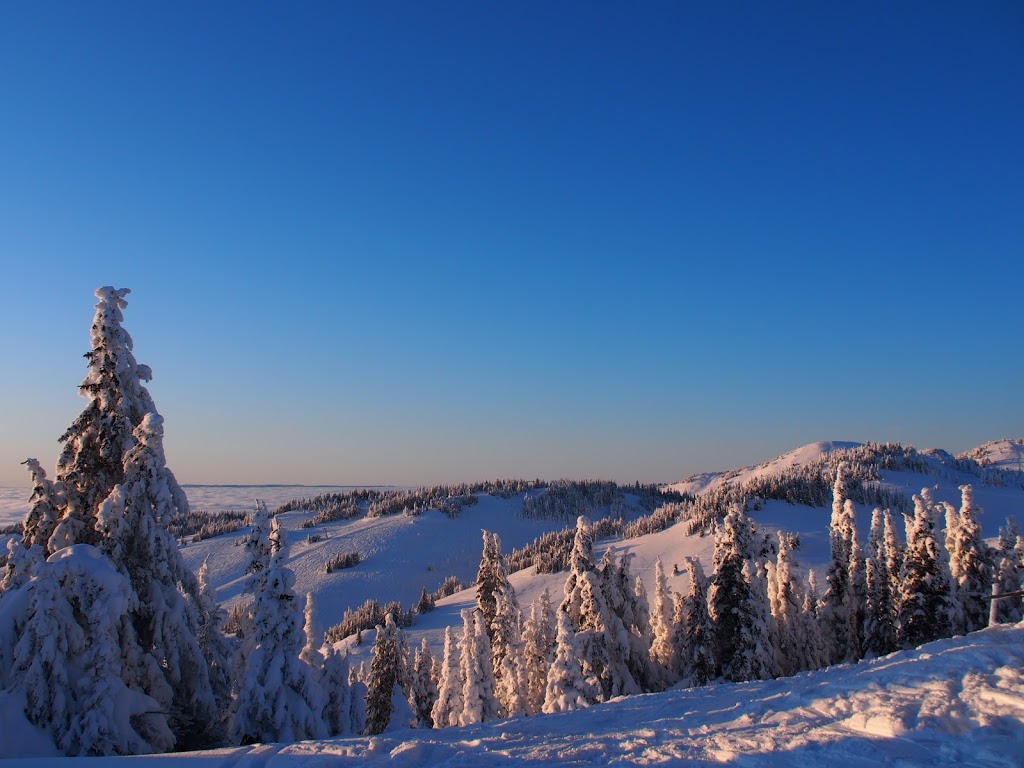 3 Peaks Rentals | 4129 Sundance Drive, Sun Peaks, BC V0E 5N0, Canada | Phone: (250) 319-7902