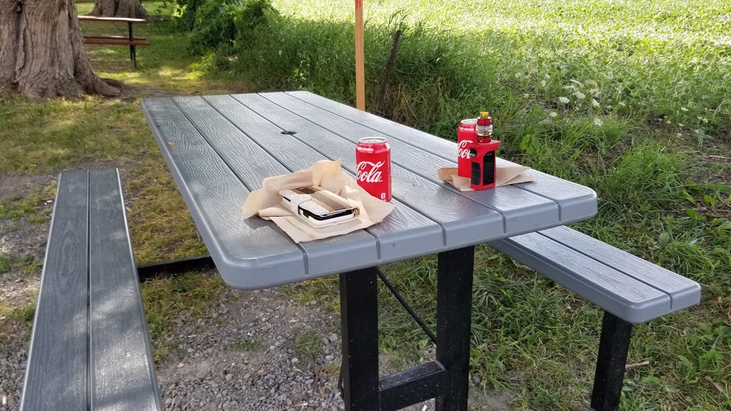 Js Place Chip Truck | County Road 29 &, ON-30, Trent Hills, ON K0K 1R0, Canada | Phone: (905) 872-0199