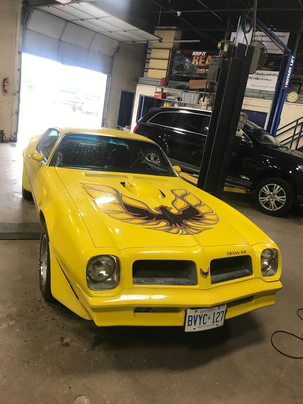 Peel Auto Collision | 14 Hale Rd, Brampton, ON L6W 3M1, Canada | Phone: (905) 459-1300