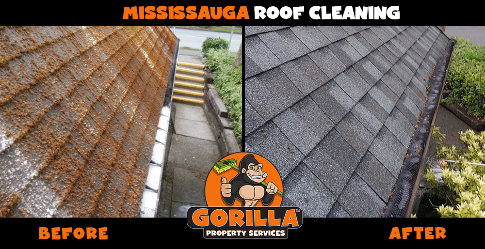 Gorilla Property Services | 7360 Bramalea Rd #885, Mississauga, ON L5S 1W9, Canada | Phone: (905) 963-9059