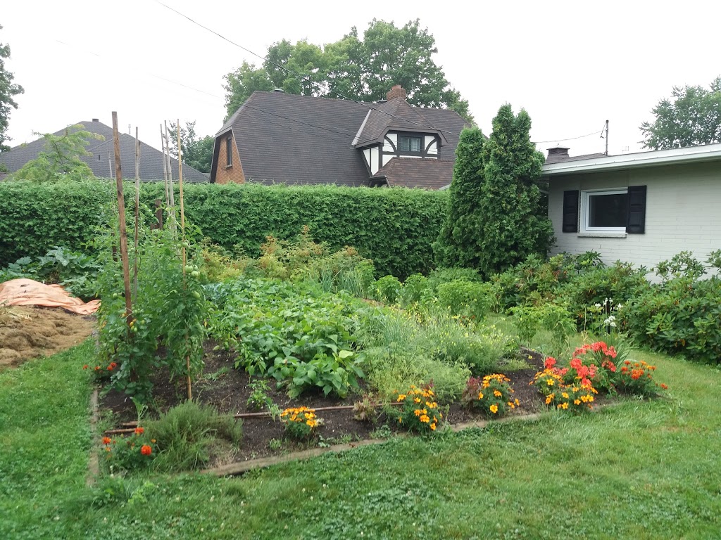 Parc Guertin | 33 Rue Oscar-Guertin, Gatineau, QC J9H 4W5, Canada | Phone: (819) 595-2002