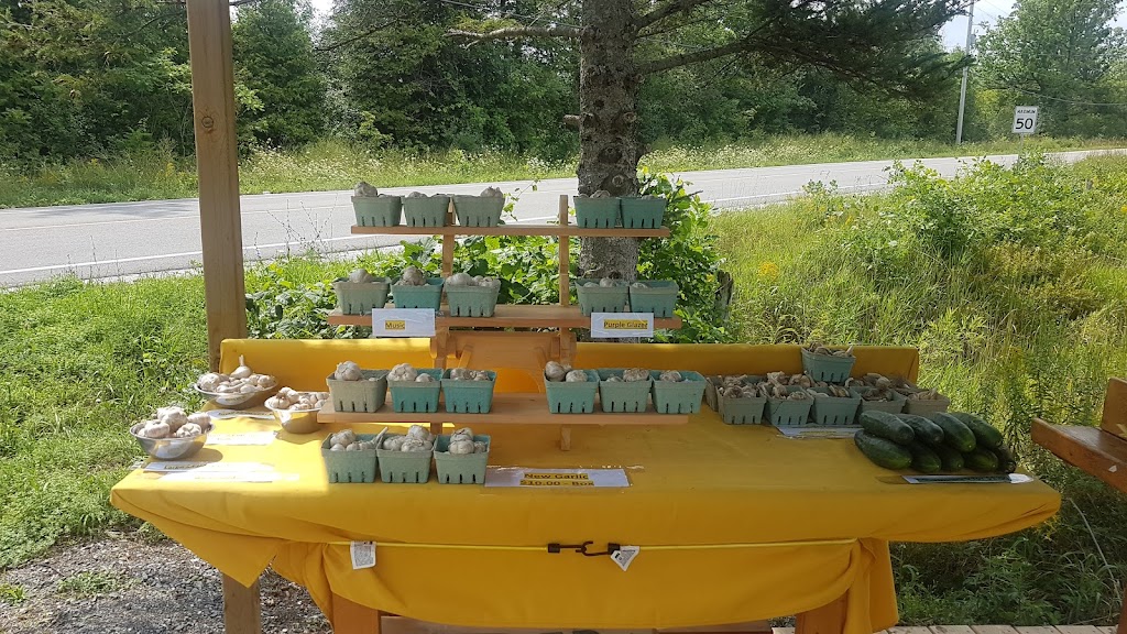 Chatnor Farms | 218 Christie Lake North Shore Rd, Perth, ON K7H 3C6, Canada | Phone: (514) 518-6780