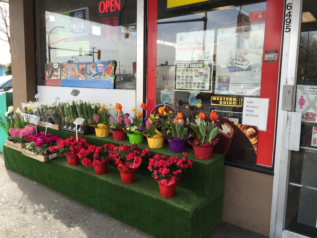 For You Flower Shop | 6495 Knight St, Vancouver, BC V5P 2V9, Canada | Phone: (778) 379-6838