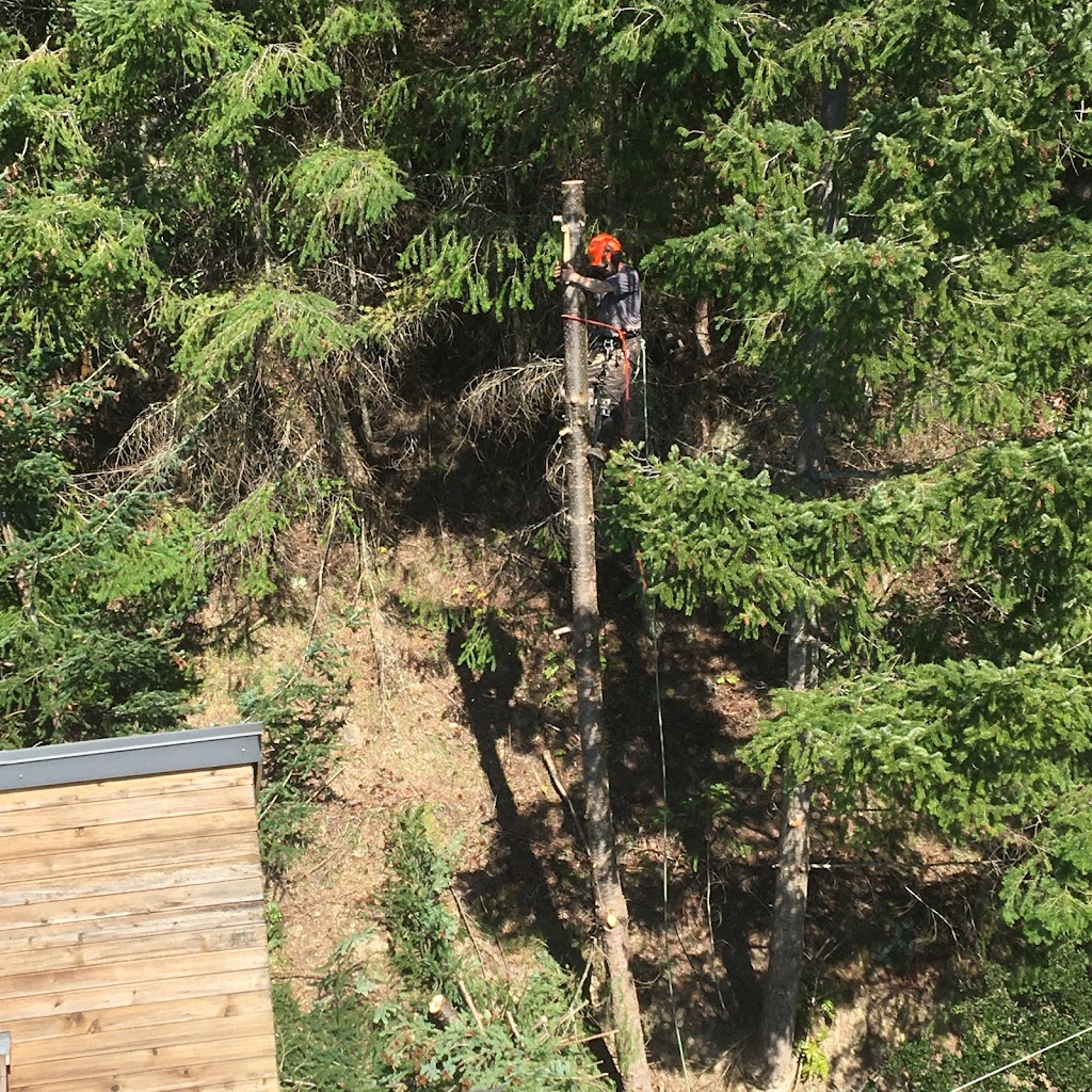 Galiano Tree Service | 398 Morgan Rd, Galiano Island, BC V0N 1P0, Canada | Phone: (250) 539-3600