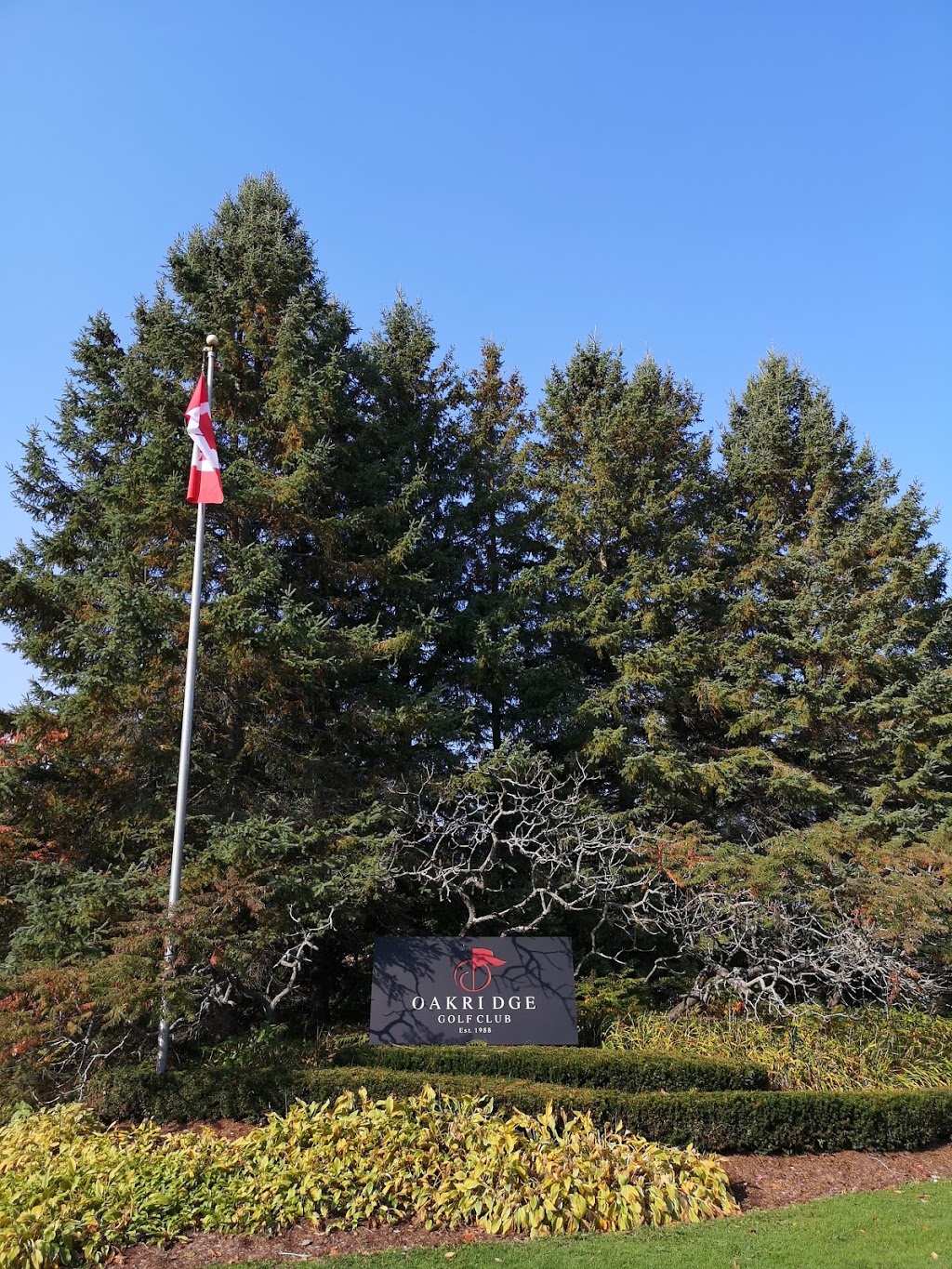 Oakridge Golf Club | 35 Lauren Rd, Port Perry, ON L9L 2A7, Canada | Phone: (905) 985-8390