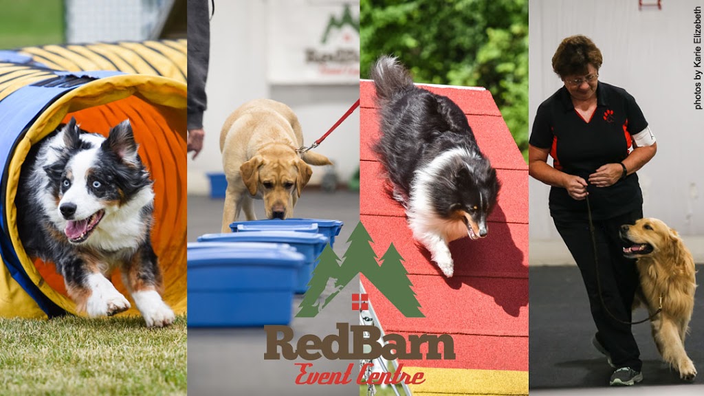 Red Barn Event Centre | 8464 Simcoe County Rd 27, Barrie, ON L4N 9C4, Canada | Phone: (705) 812-3467