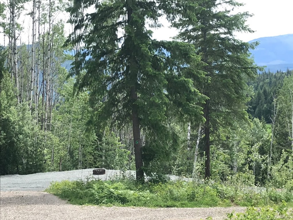 Shuswap Valley Vistas Camping | 5186 Line 17 Rd, Celista, BC V0E 1M6, Canada | Phone: (250) 682-3853
