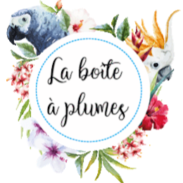 La boîte à plumes - Boutique en ligne pour oiseaux | 1971 Avenue Lapierre, Québec, QC G3E 0J5, Canada | Phone: (581) 705-1204