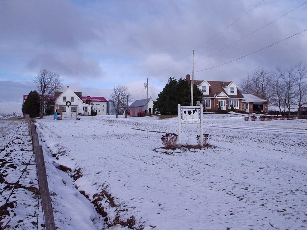 Roga Farm Ltd | 3570 route 16, Melrose, NB E4M 1X2, Canada | Phone: (506) 538-2667