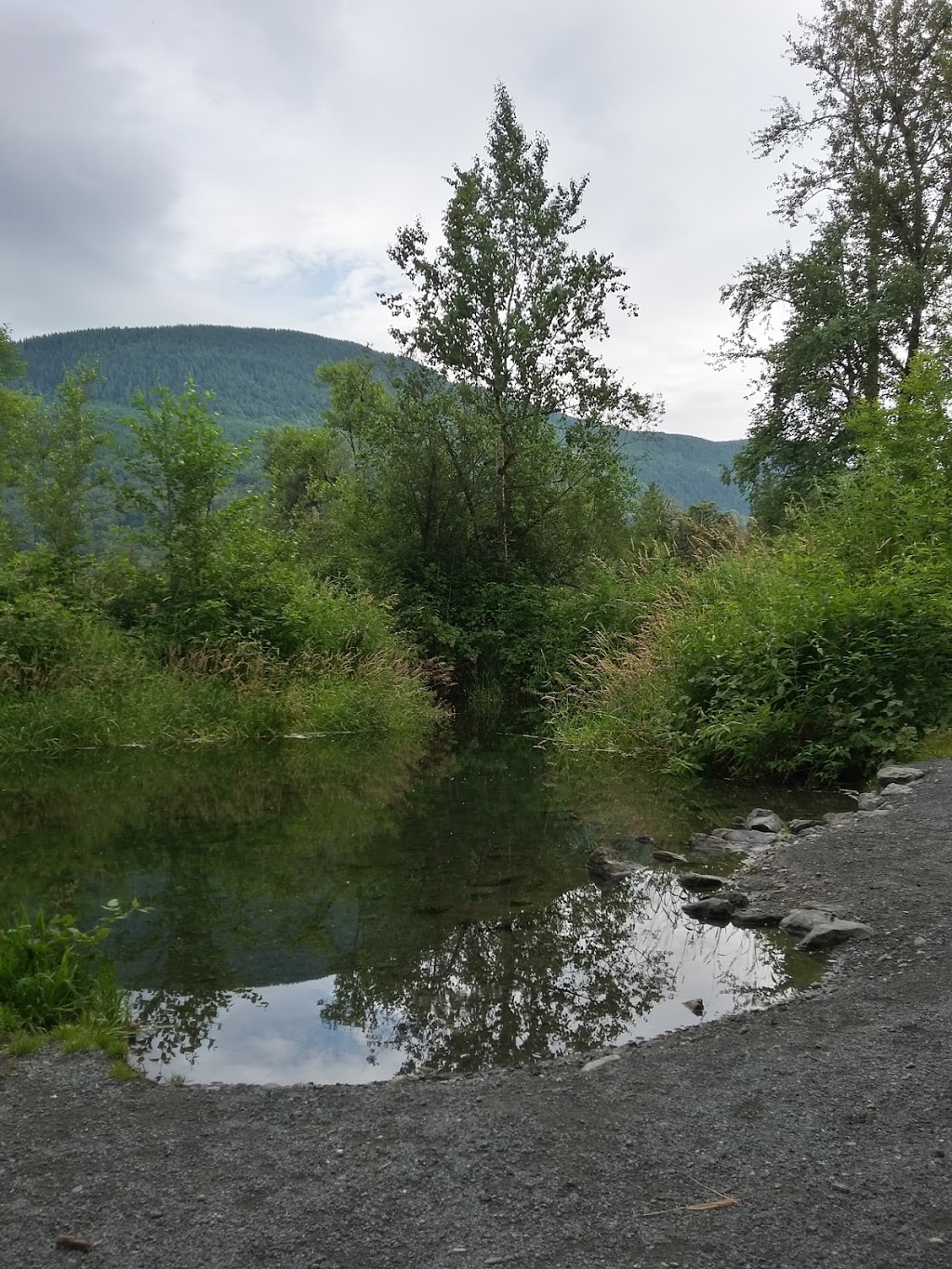 Browne Creek Wetlands | 5205 Browne Rd, Chilliwack, BC V2R 4R3, Canada