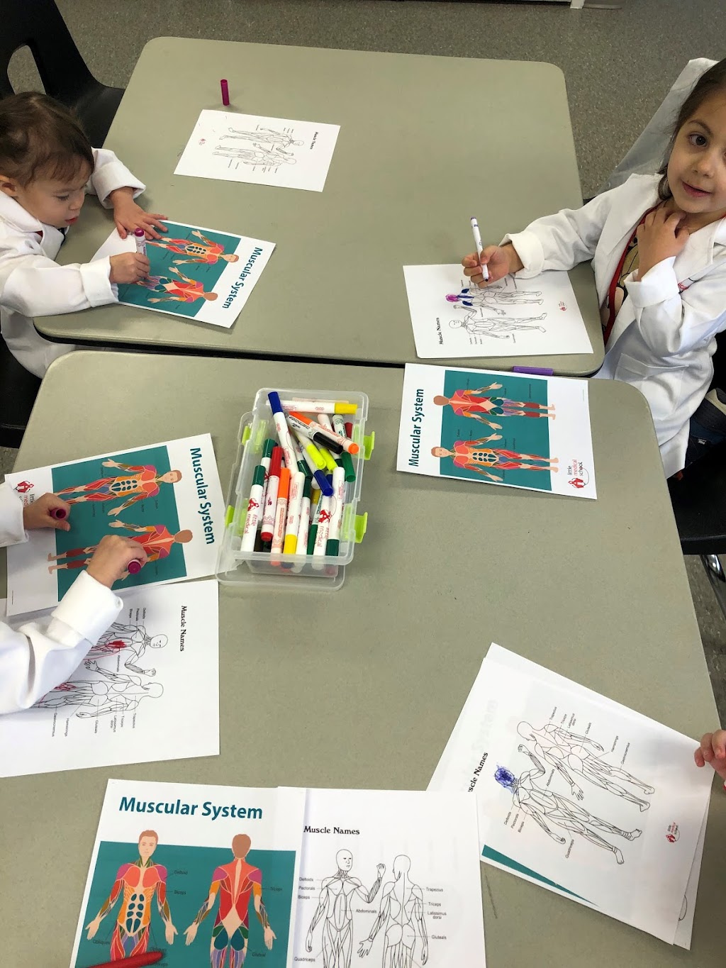 Little Medical School - Region of Waterloo | 180 Northfield Dr W, 1st Fl, Unit 4, Waterloo, ON N2L 0C7, Canada | Phone: (226) 989-8998