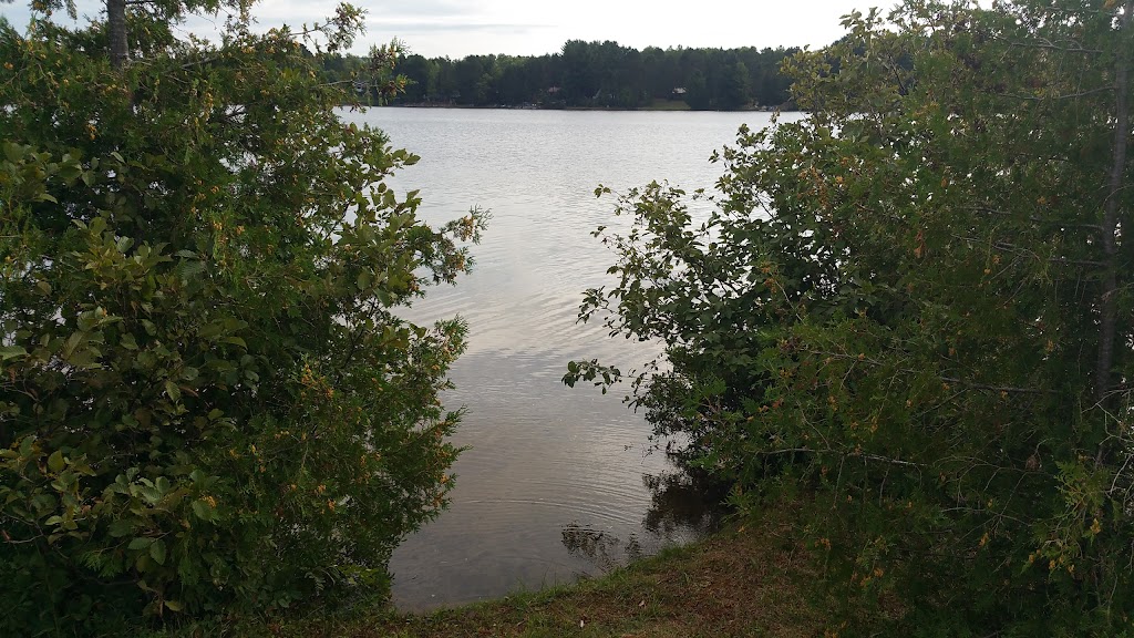 Opeongo Trail Resort | 262 Ohio Rd, Combermere, ON K0J 1L0, Canada | Phone: (639) 840-2052