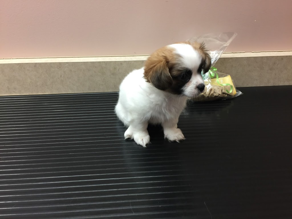 Hollybank Animal Hospital | 1030 Kennedy Cir, Milton, ON L9T 0J9, Canada | Phone: (905) 864-0022
