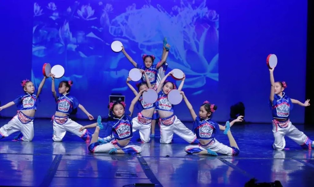 EDU DANCE ARTS ACADEMY | 125 Don Hillock Dr Unit 2, Aurora, ON L4G 0H8, Canada | Phone: (905) 503-0199