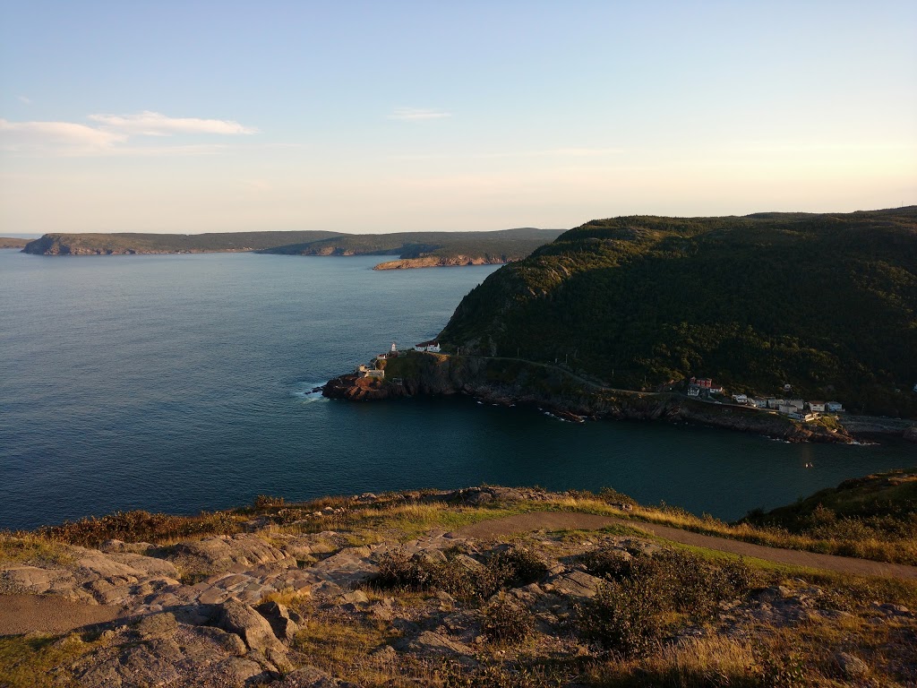Sea Fresh Discharging Ltd | Fort Amherst Rd, St. Johns, NL A1C 5H2, Canada | Phone: (709) 722-1160