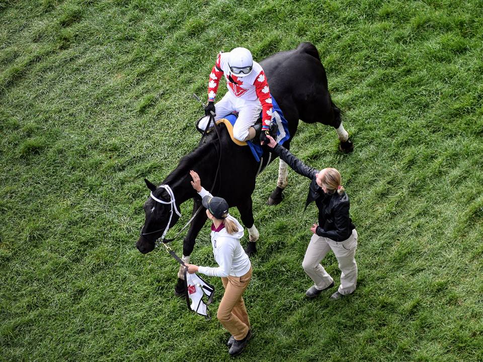 K. Vassilieva Racing Stable | 555 Rexdale Blvd, Etobicoke, ON M9W 5L2, Canada | Phone: (647) 407-0068