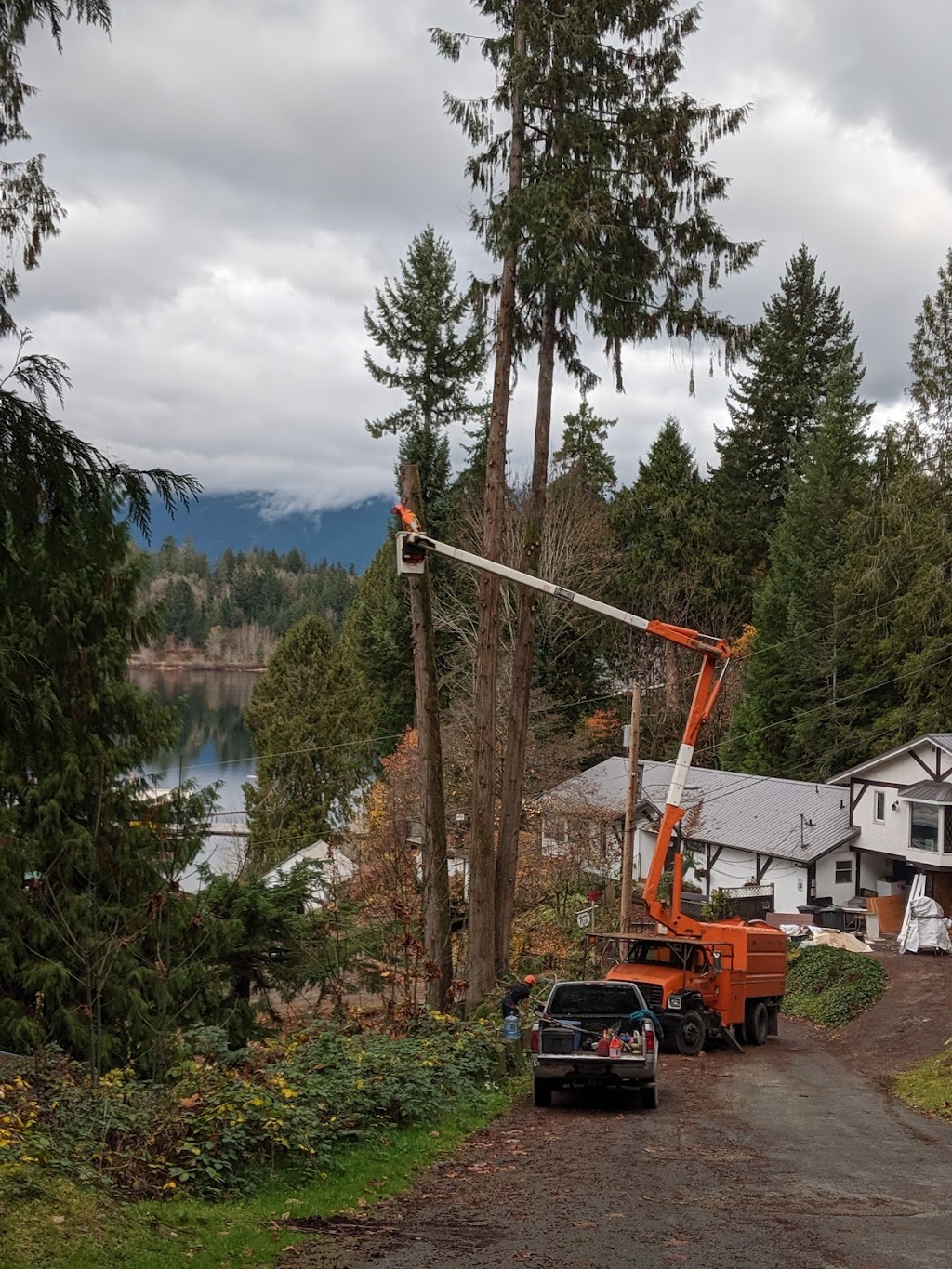 Nomad Tree Service | 5671 Falls St, Port Alberni, BC V9Y 8K7, Canada | Phone: (250) 735-2674