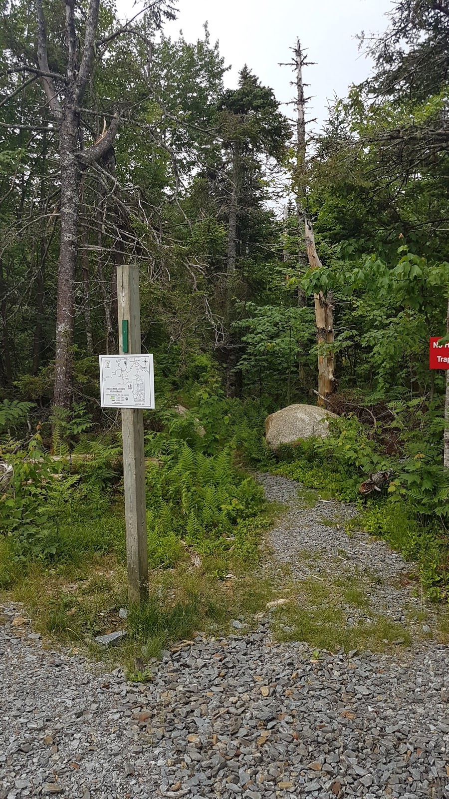 Indian Path Common Hiking Trail | Fish Peddler Rd, Riverport, NS B4V 2H1, Canada