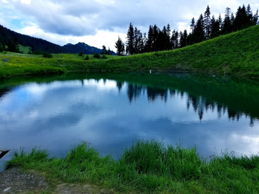 Mount Cheam | Fraser Valley D, BC V0X 1X1, Canada | Phone: (604) 316-8674