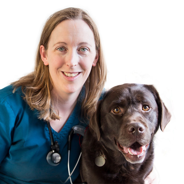 Arrowhead Veterinary Centre | 118 2 Ave W, Cochrane, AB T4C 2E7, Canada | Phone: (403) 932-2370