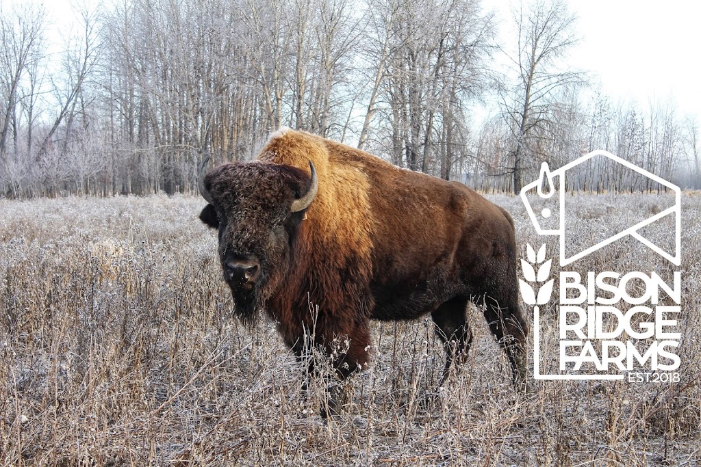 Bison Ridge Farms | Buckland Rd, Prince Albert, SK S6V 5R3, Canada | Phone: (306) 930-6760
