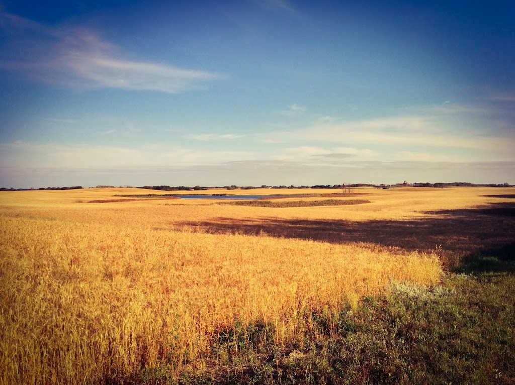 Town of Ituna Municipal Office | 7 1 Ave NE, Ituna, SK S0A 1N0, Canada | Phone: (306) 795-2272