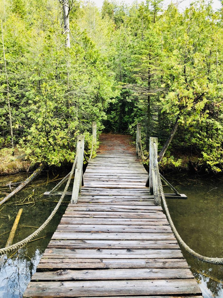 Blue Springs Scout Reserve | 14009 Sixth Line Nassagaweya, Acton, ON L7J 2W8, Canada | Phone: (905) 299-2070