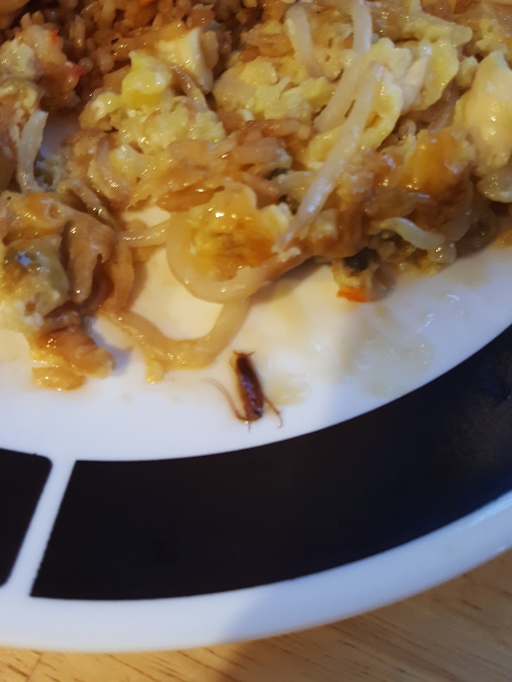 Lees Take Out & Delivery Service | 1825 Main St W, Hamilton, ON L8S 1H6, Canada | Phone: (905) 528-0095