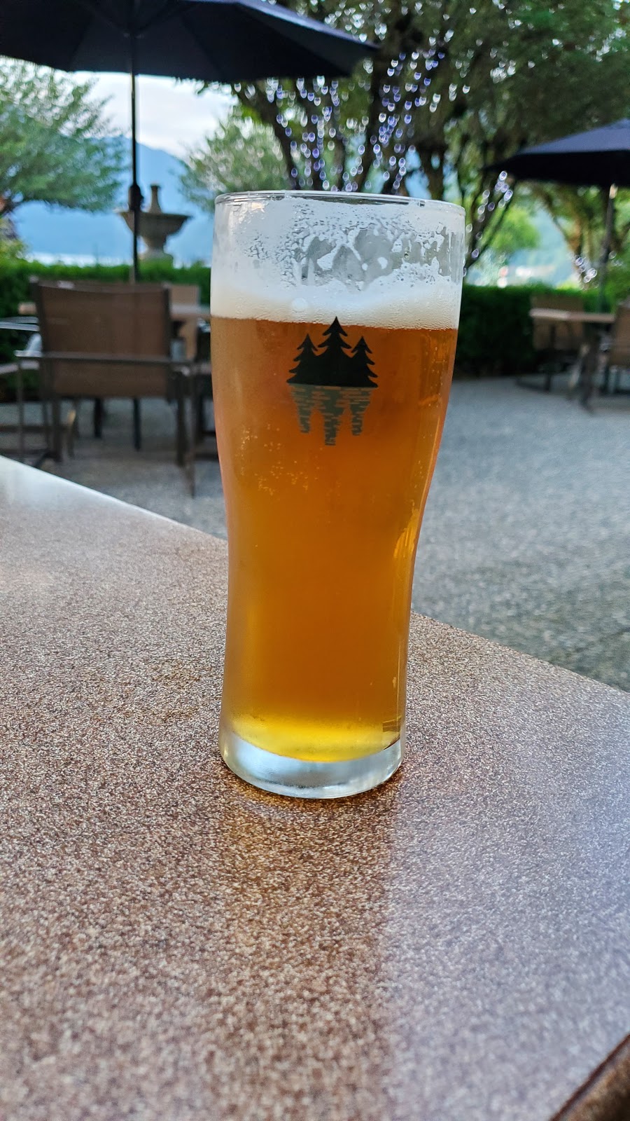 Islands Bar & Patio | 100 Esplanade Ave, Harrison Hot Springs, BC V0M 1K0, Canada | Phone: (604) 796-2244