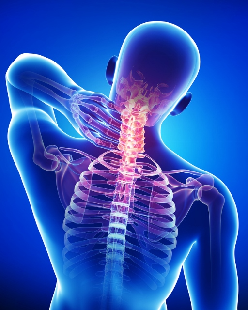 Craniosacral Therapy Calgary | 3851 Point McKay Rd NW, Calgary, AB T3B 4V7, Canada | Phone: (403) 471-2736