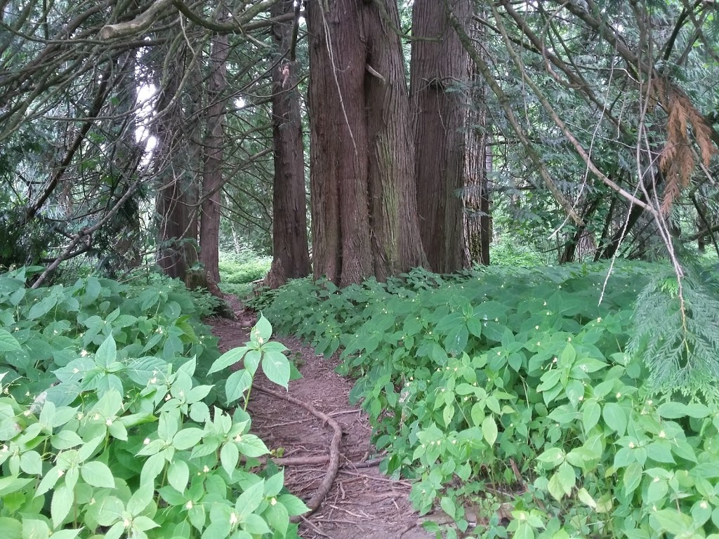Browne Creek Wetlands | 5205 Browne Rd, Chilliwack, BC V2R 4R3, Canada