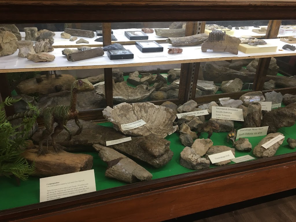 Broken Rock Fossil Shop | 1820 Garfield Rd, Belfast, PE C0A 1A0, Canada | Phone: (902) 393-2536