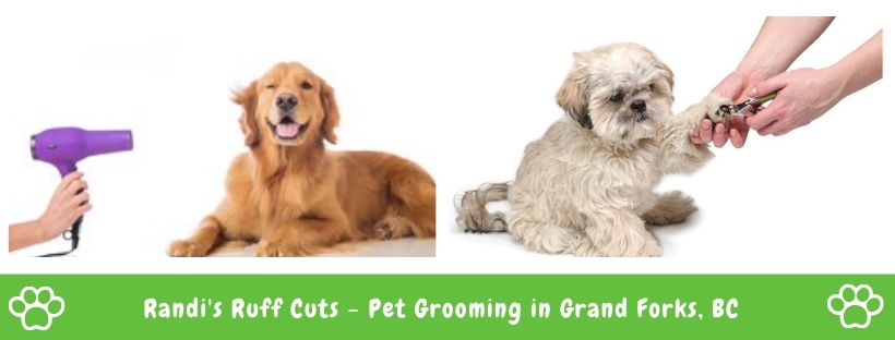 Randis Ruff Cuts | 3195 Koftinoff Rd, Grand Forks, BC V0H 1H2, Canada | Phone: (250) 801-1505