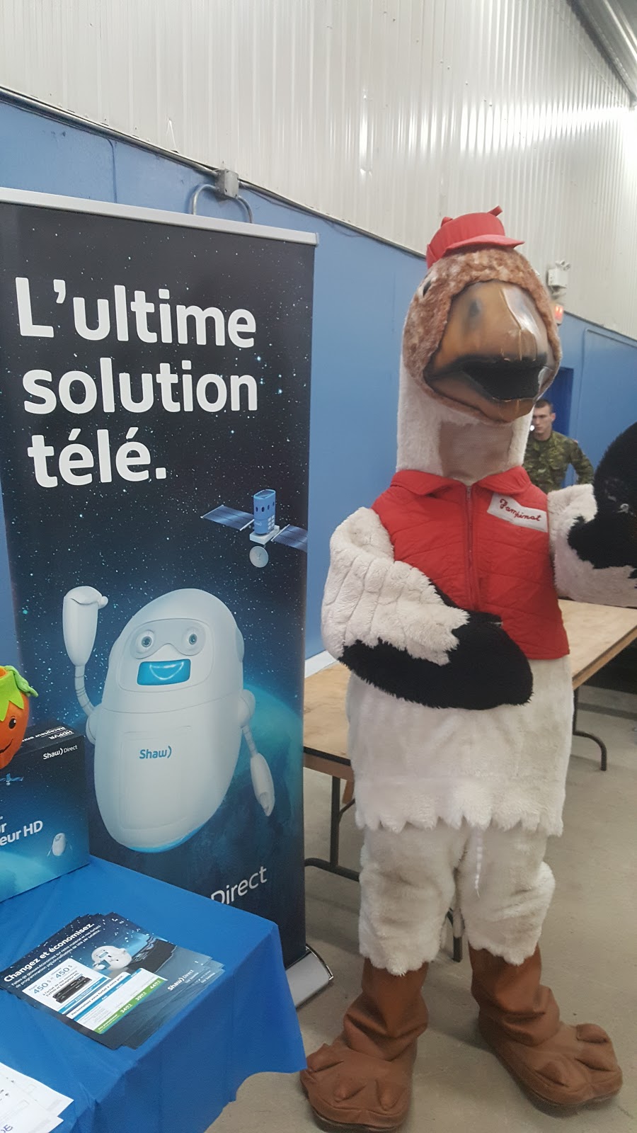 Festival De LOie Blanche | 23 Av. Ste Brigitte N, Montmagny, QC G5V 3S3, Canada | Phone: (418) 248-3954