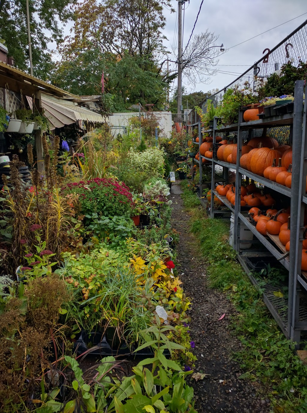 Green Mountain Market | 350 Coxwell Ave, Toronto, ON M4L 3B6, Canada | Phone: (416) 465-2528