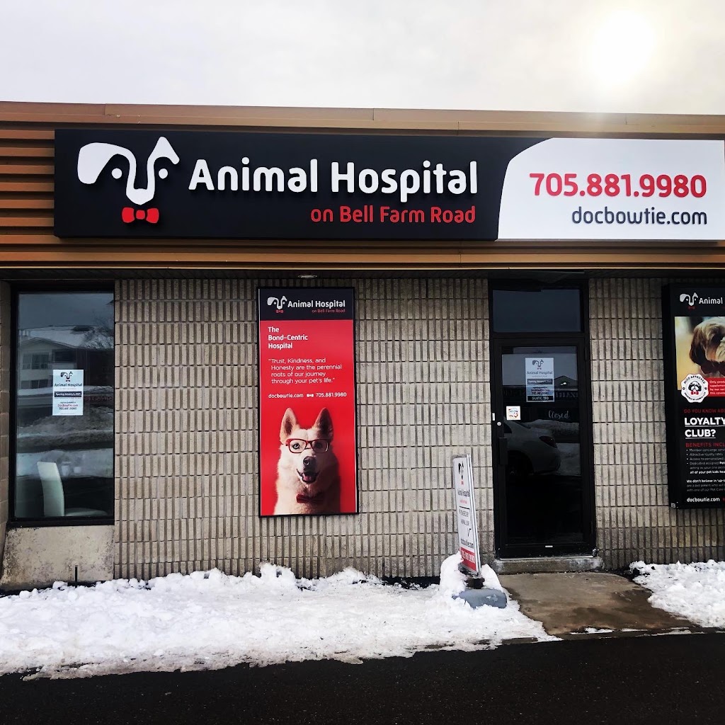 Animal Hospital on Bell Farm Road | 115 Bell Farm Rd Unit 110, Barrie, ON L4M 5G1, Canada | Phone: (705) 881-9980