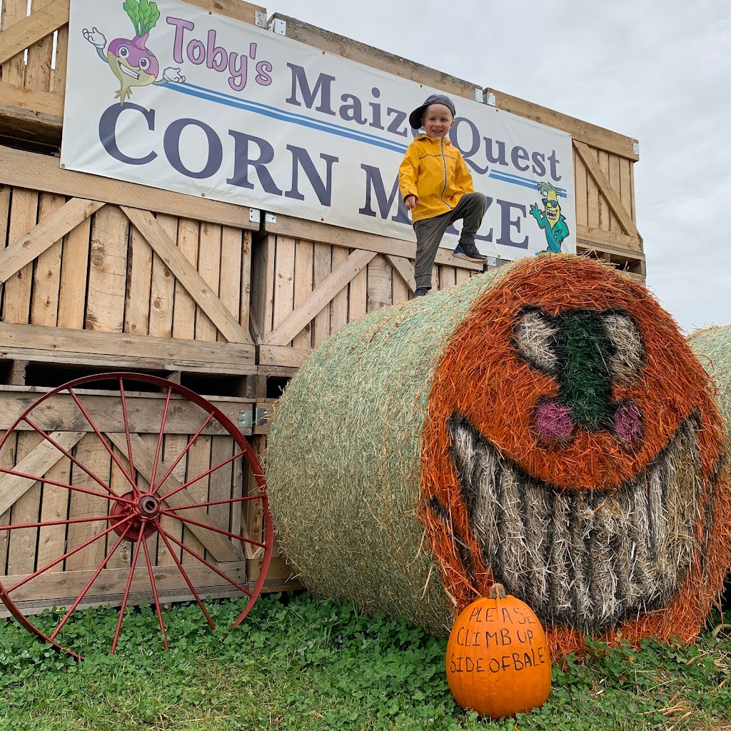 Fortune Bridge Farms & Tobys Farm Market | 1444 Veterans Memorial Hwy, Souris, PE C0A 2B0, Canada | Phone: (902) 215-0219