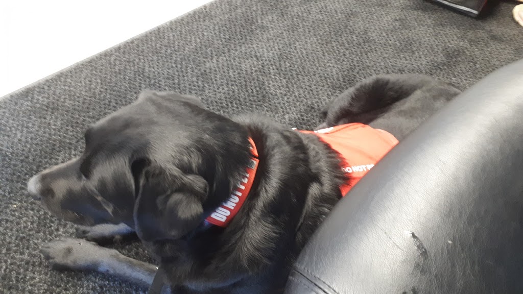 College Park Animal Hospital | 1000 Finch Dr #7, Sarnia, ON N7S 6G5, Canada | Phone: (519) 332-5656