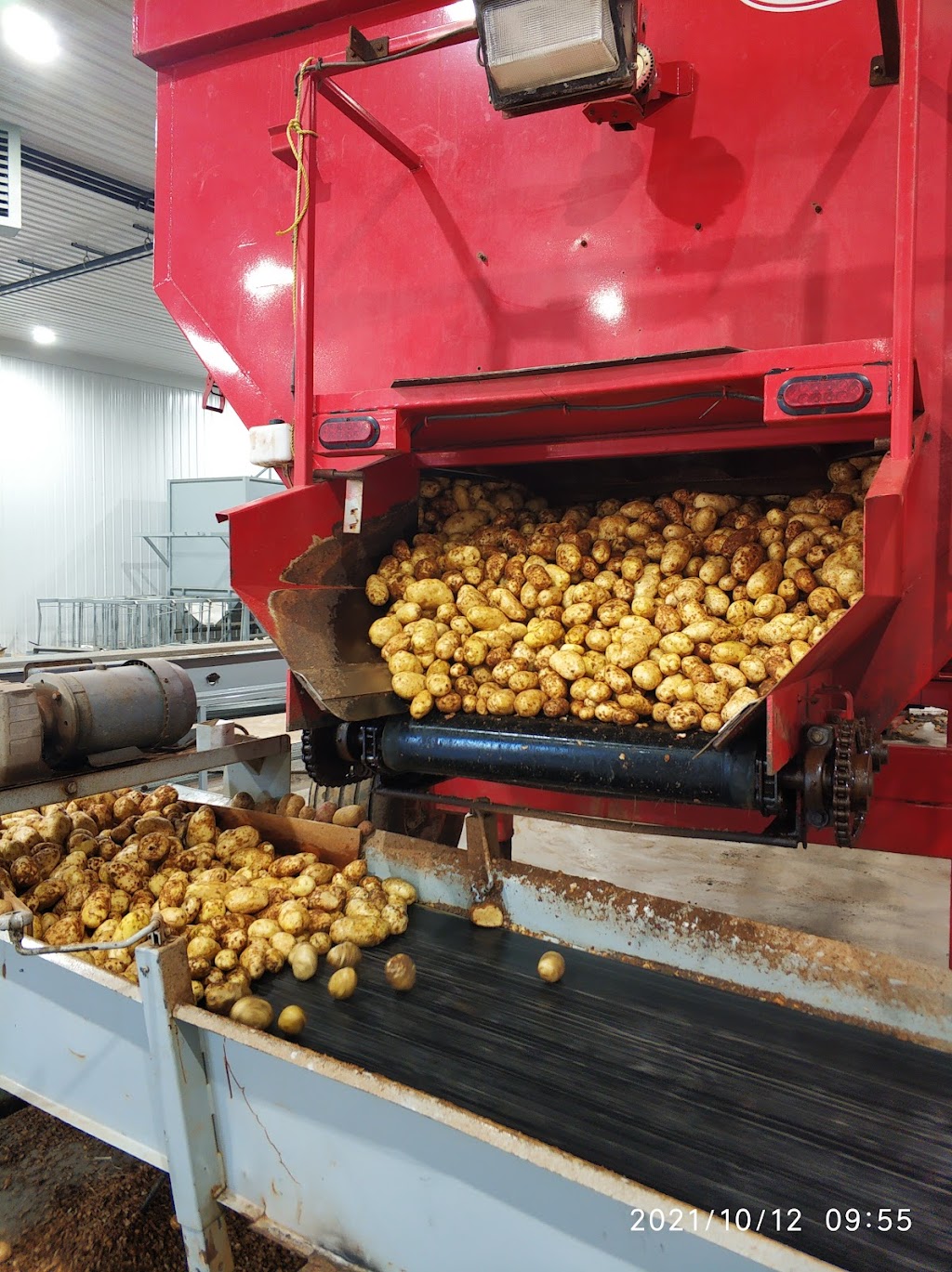 PEI Potato Solutions | 1325 Wilmot Valley Rd, New Annan, PE C1N 4J8, Canada | Phone: (902) 436-6721