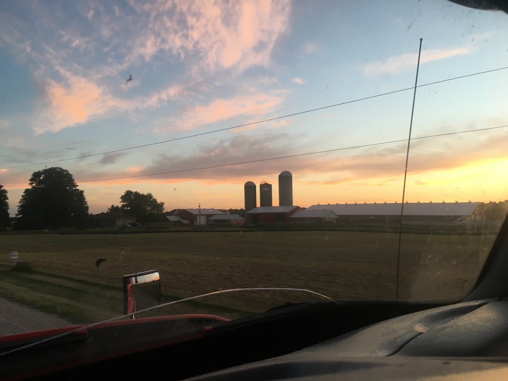 Thomsvue Farms | South Huron, ON N0M 1V0, Canada | Phone: (519) 229-6819