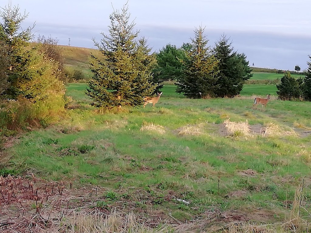 Fox Hollow Golf Club | Stewiacke, NS B0N 2J0, Canada | Phone: (902) 639-2535