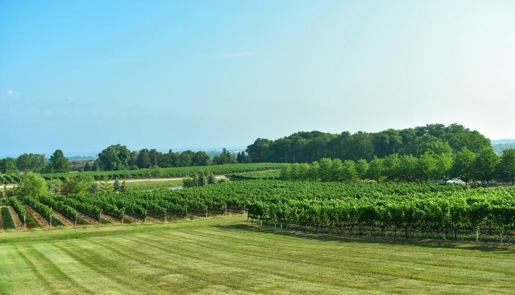Inovawine | 139 Rue du Parc-de-lInnovation, La Pocatière, QC G0R 3G0, Canada | Phone: (888) 401-3758