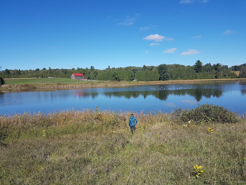 Garden Hill Conservation Area | Ganaraska Road 9, Port Hope, ON L0A 1B0, Canada | Phone: (905) 885-8173