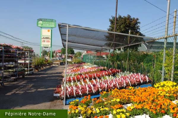 Pépinière Notre-Dame, Botanix | 325 Rue Notre-Dame, Repentigny, QC J6A 2S1, Canada | Phone: (450) 585-3983