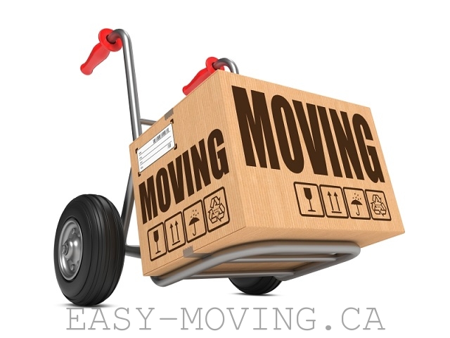 Trans Moving Newmarket | 738 Srigley St, Newmarket, ON L3Y 1X5, Canada | Phone: (416) 520-3575