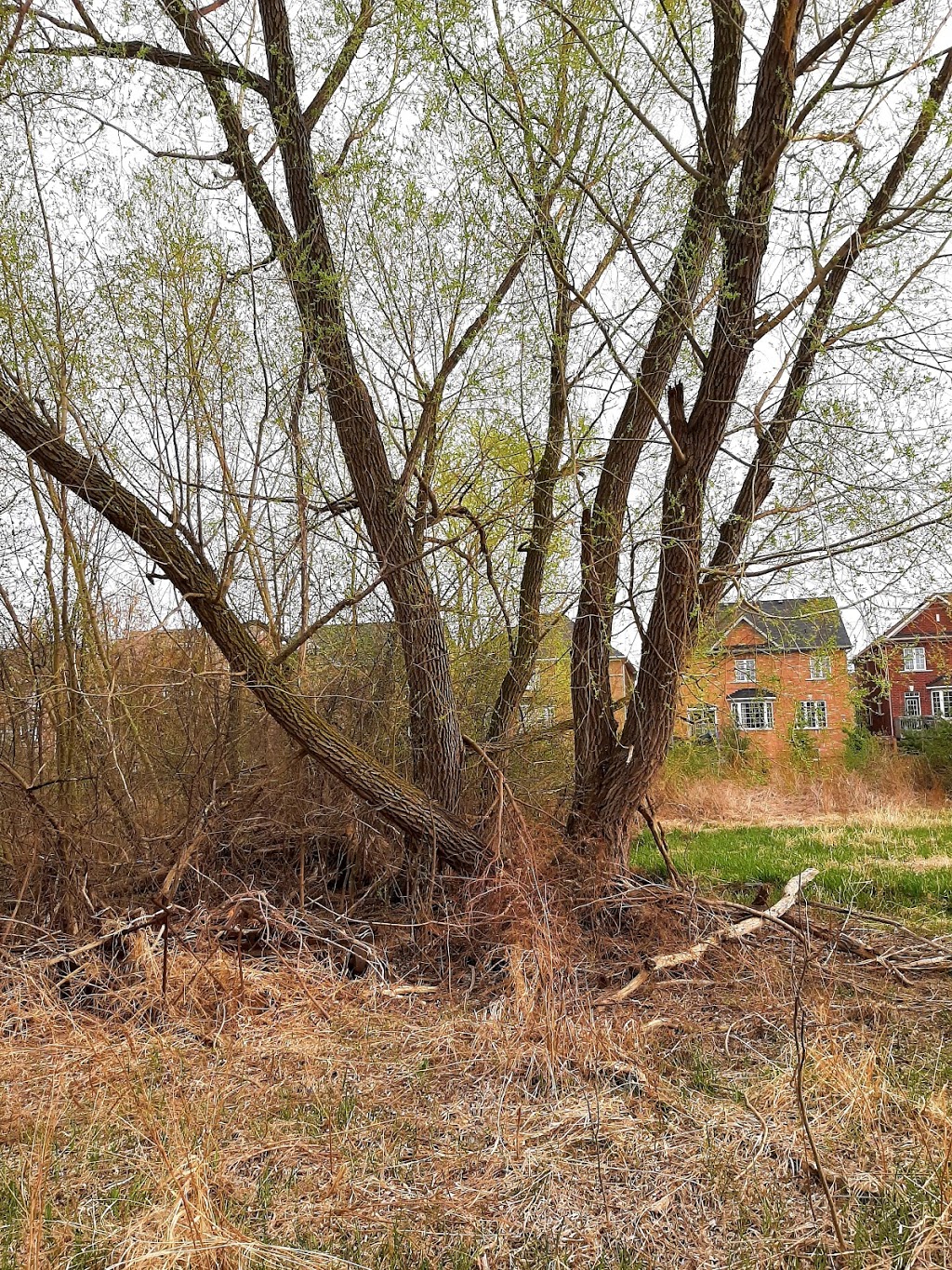 Heatherglen Valley | Brampton, ON L6Y 0B7, Canada | Phone: (905) 874-2000